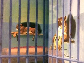 Cage aux lions – peinture de Gilles Aillaud 1967